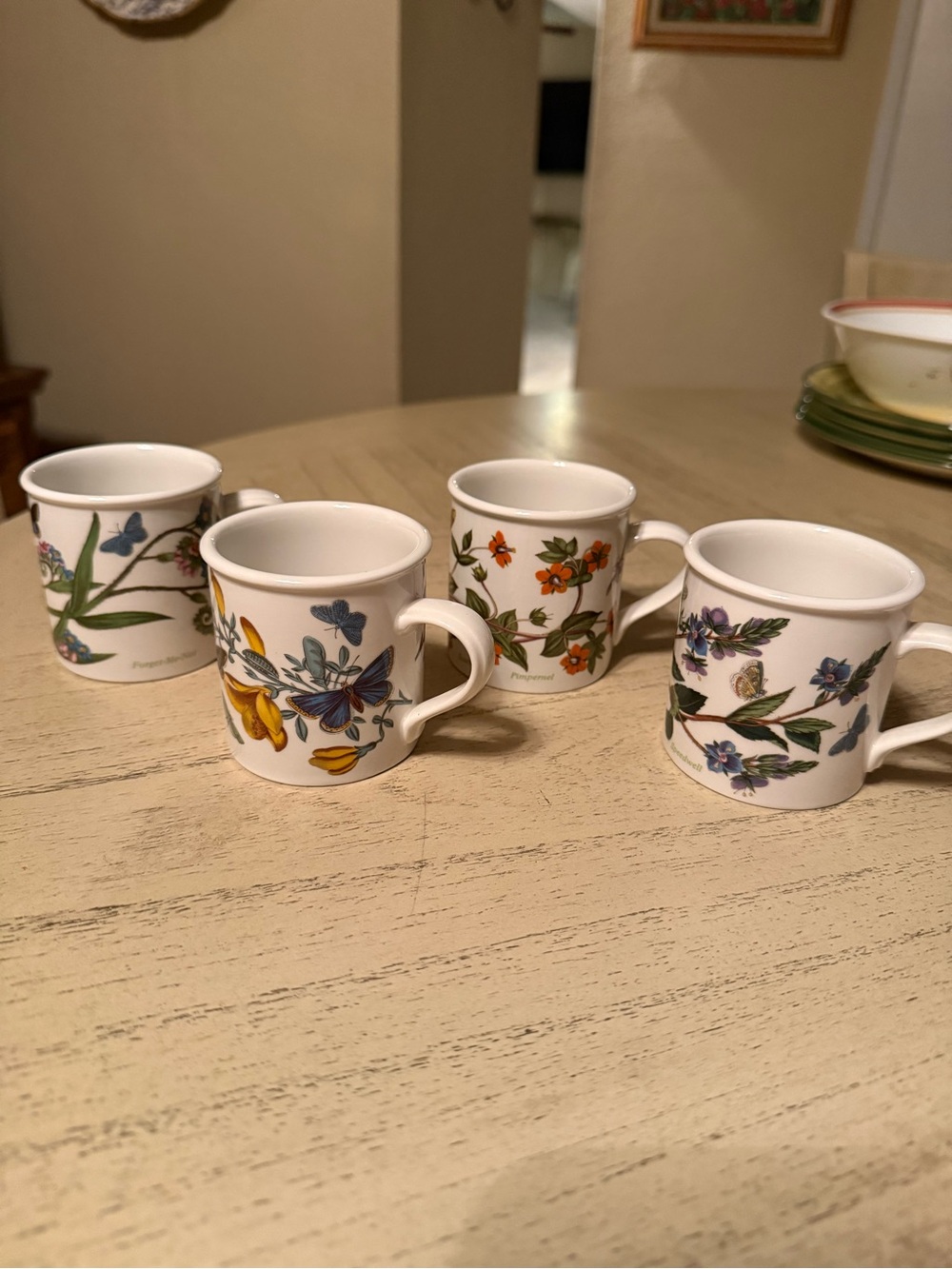 Set of 4 vintage English Portmeirion Botanic Garden drum coffee mugs